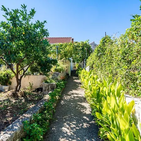 Lidija Zaton (Dubrovnik-Neretva)